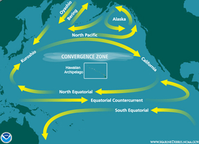 garbage route at sea