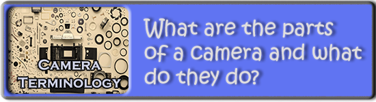 Terminology