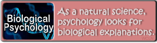 categories
