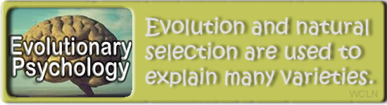 categories