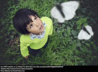 Chlid Looking at Butterflies