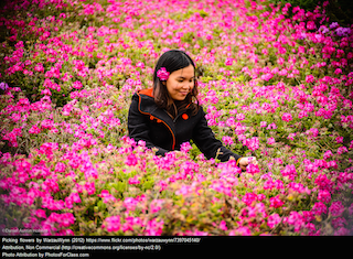 Picking Flowers