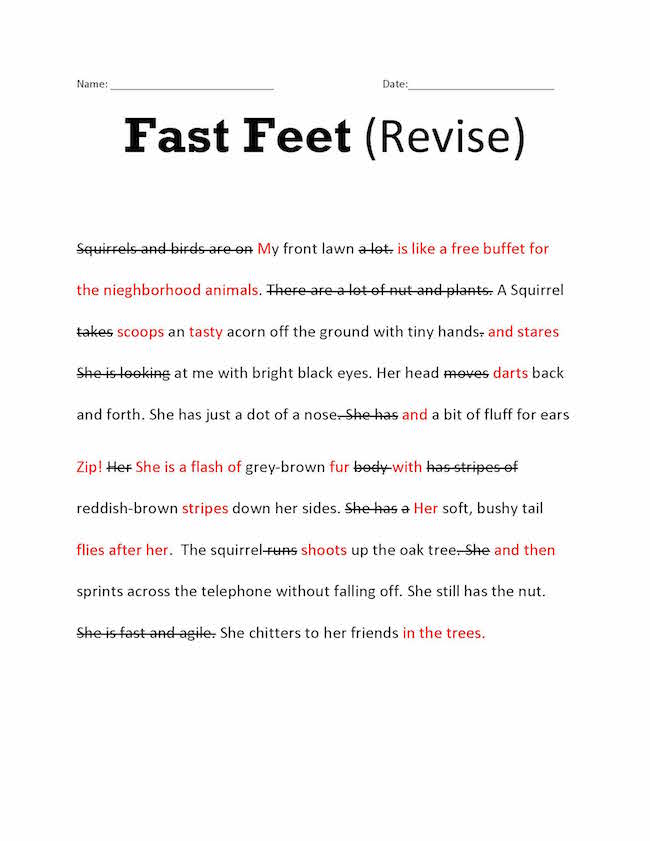 Descriptie Writing Revision Squirrel