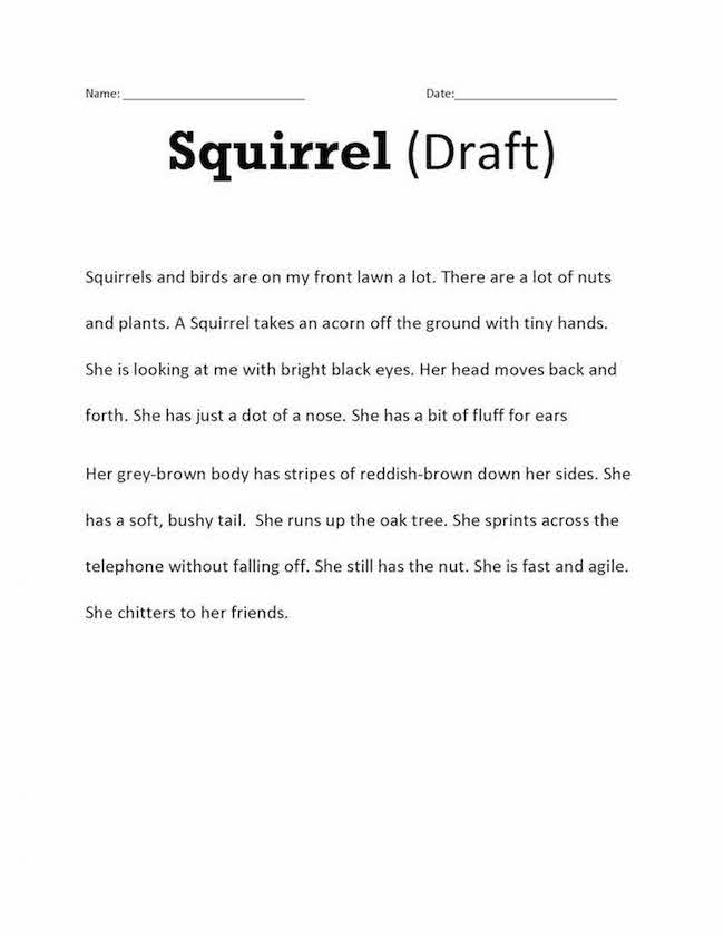 Draft Example Squirrel