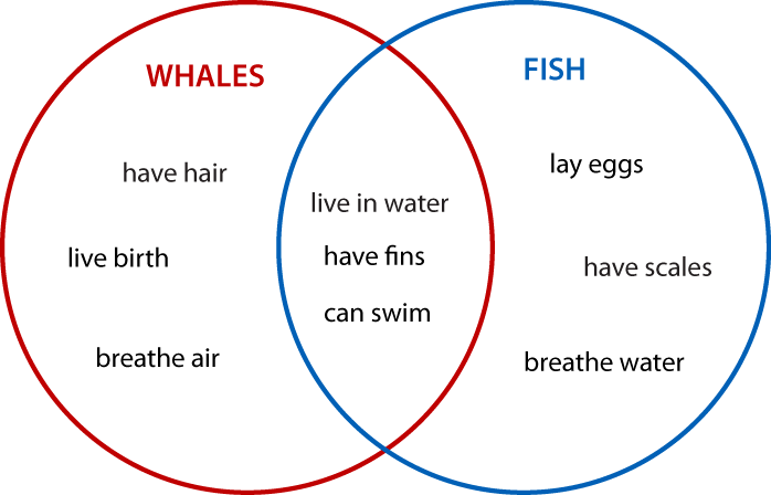 Venn